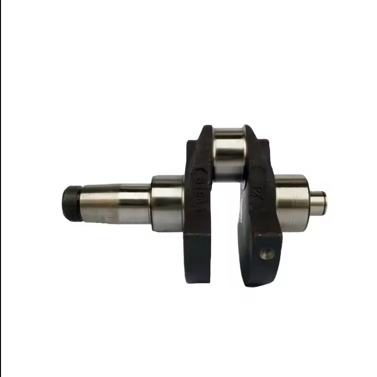 SHIJIAZHUANG ZHUORU IMPORT AND EXPORT TRADE CO.,LTD – molde de inyección 1