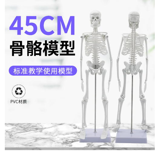 DM MODEL MANUFACTURING Co.,Ltd. – colchoneta de yoga 4