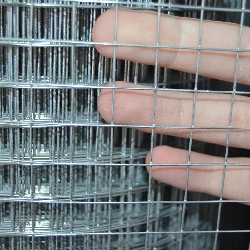 Hot dip galvanized welded wire mesh