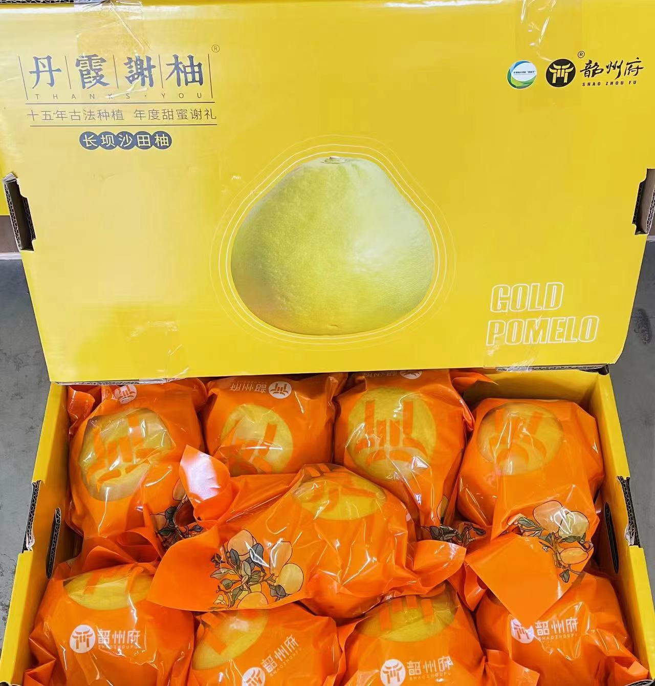 Shaoguan Yinong Technology Co.,Ltd. – Fresh citrus fruit 3
