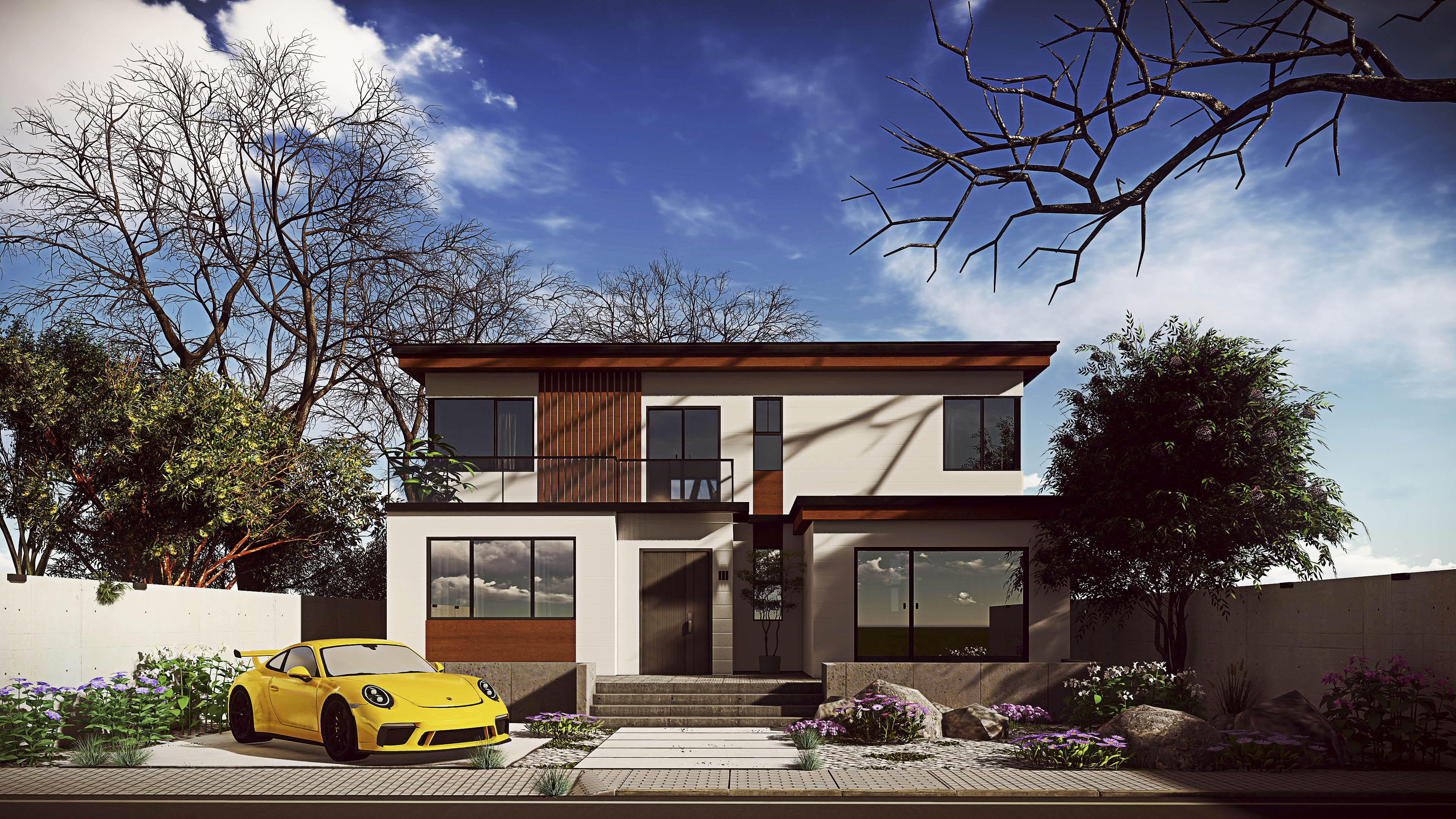 Modern Wood Structure House