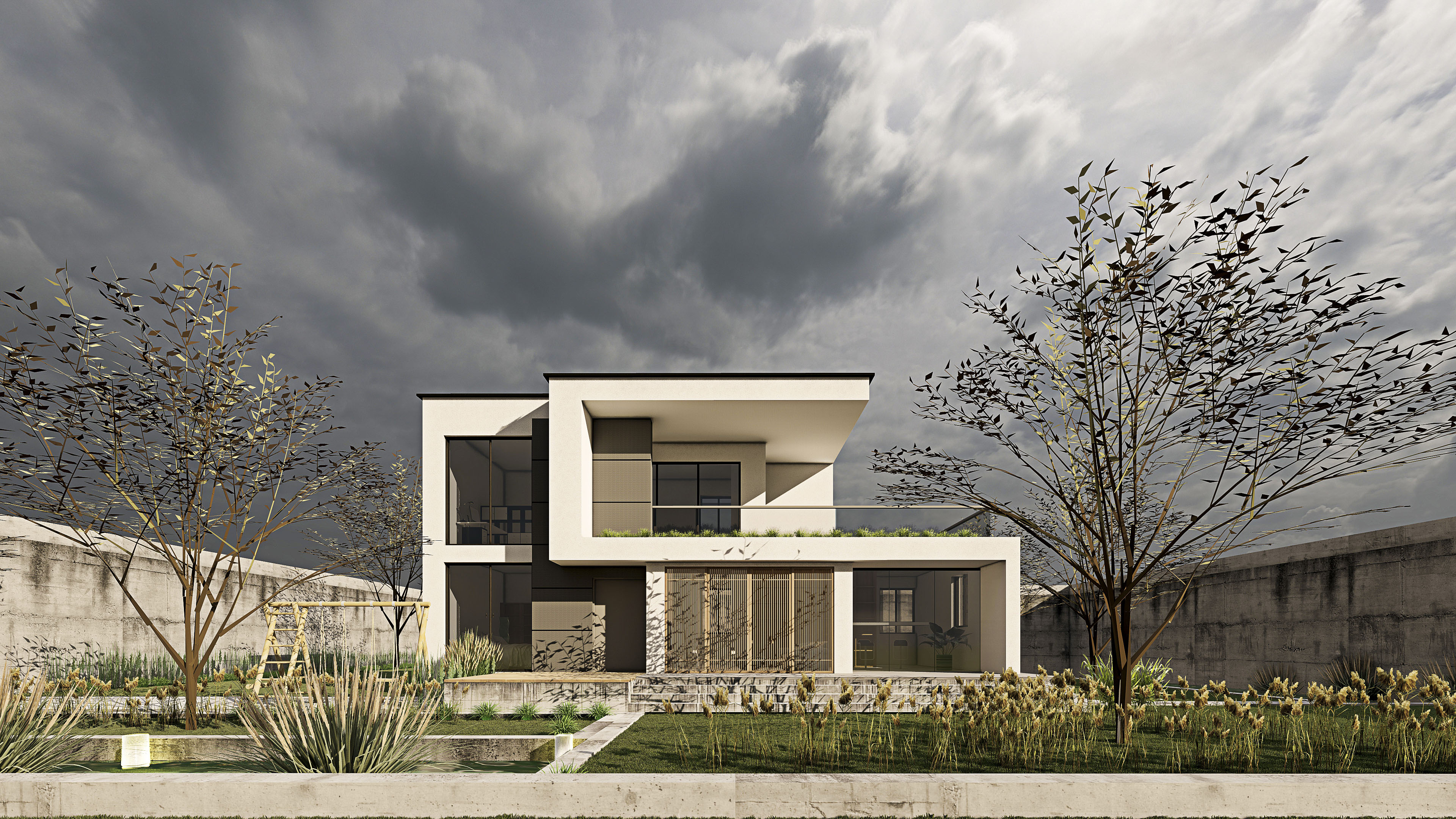 Modern Wood Structure House