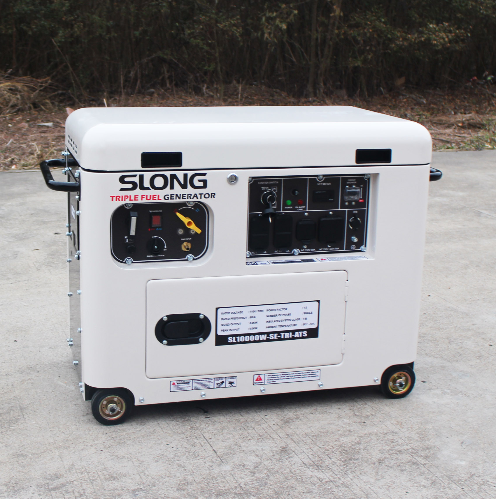 Triple fuel generator