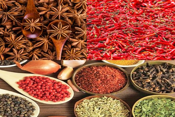 Shenzhen Guanlong Agricultural Products Co.,Ltd. – colchoneta de yoga 4