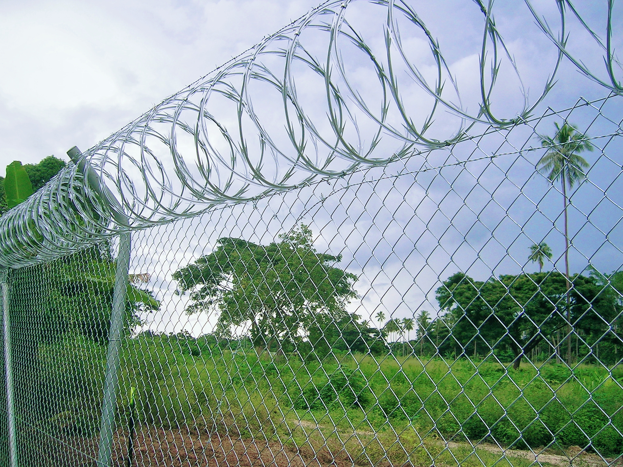 Concertina Razor Wire，Anti Climb Wall Spikes，Metal Fence