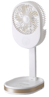 Rechargeable fan