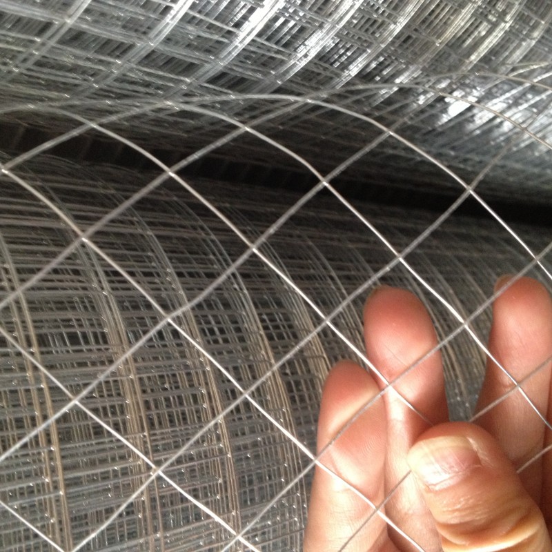 Welded wire mesh