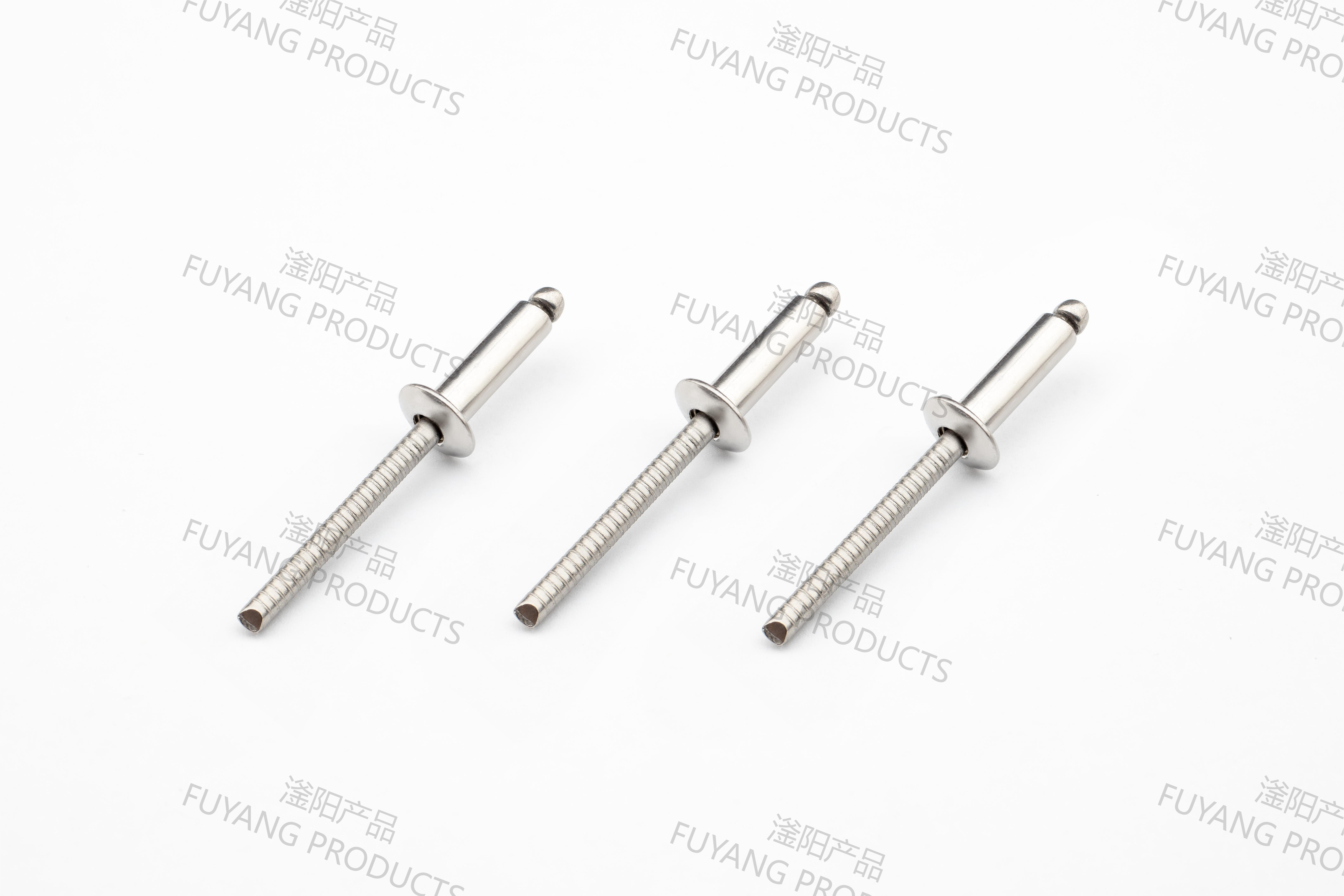 Fuyang ss/ss rivet