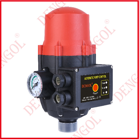 SHAANXI DENGOL ELECTRIC CO., LTD. – Fuel engine pump 3