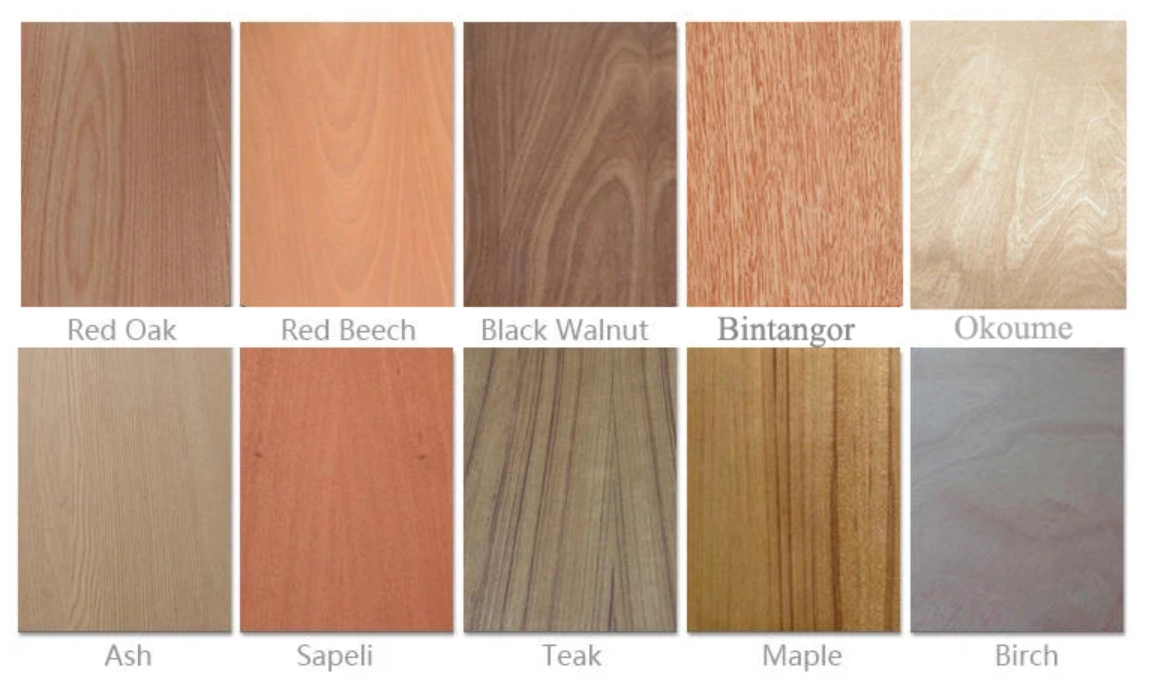 sunrise industry Lianyungang Co.,Ltd – Furniture glass 4