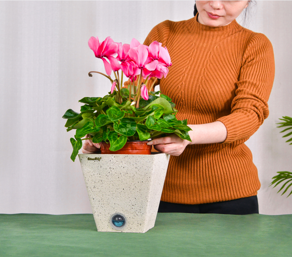 No Re-Greenship Potting Self-Watering System flower pot