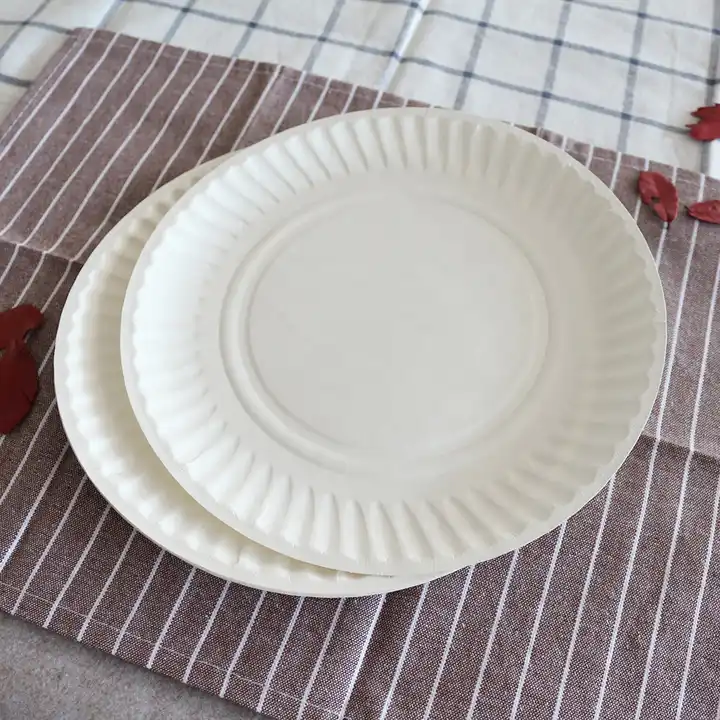 Disposable paper plate