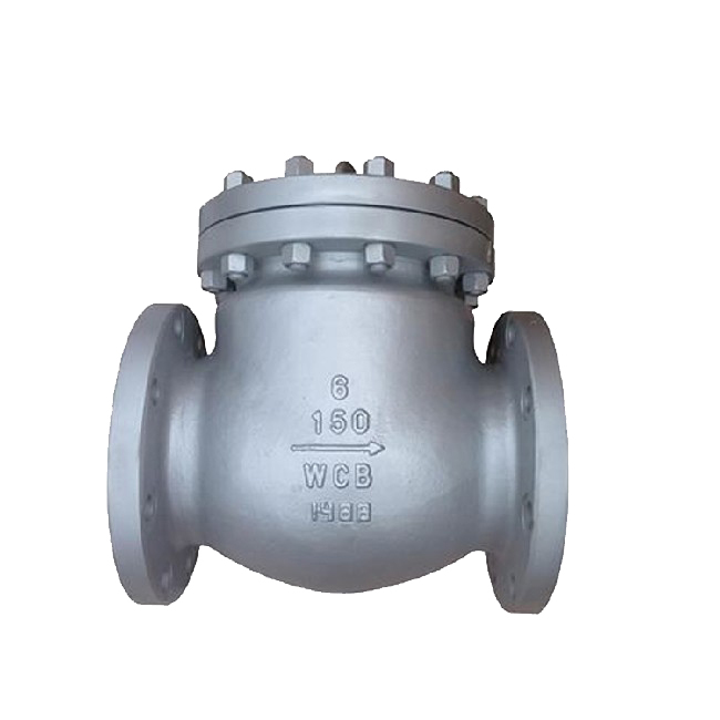 ZHEJIANG RUITONG VALVE CO.,LTD – Check valve 4