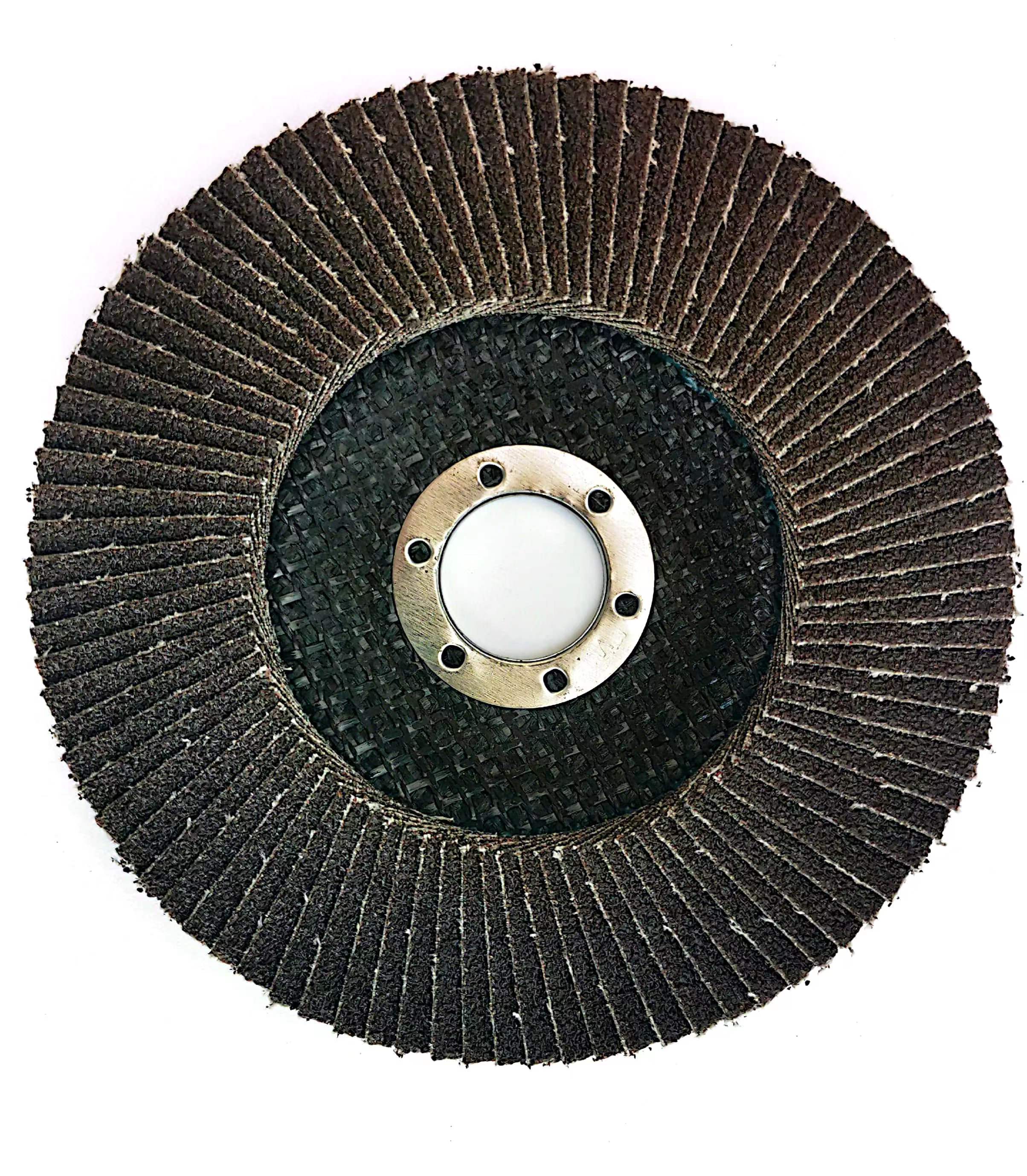 Flap disk