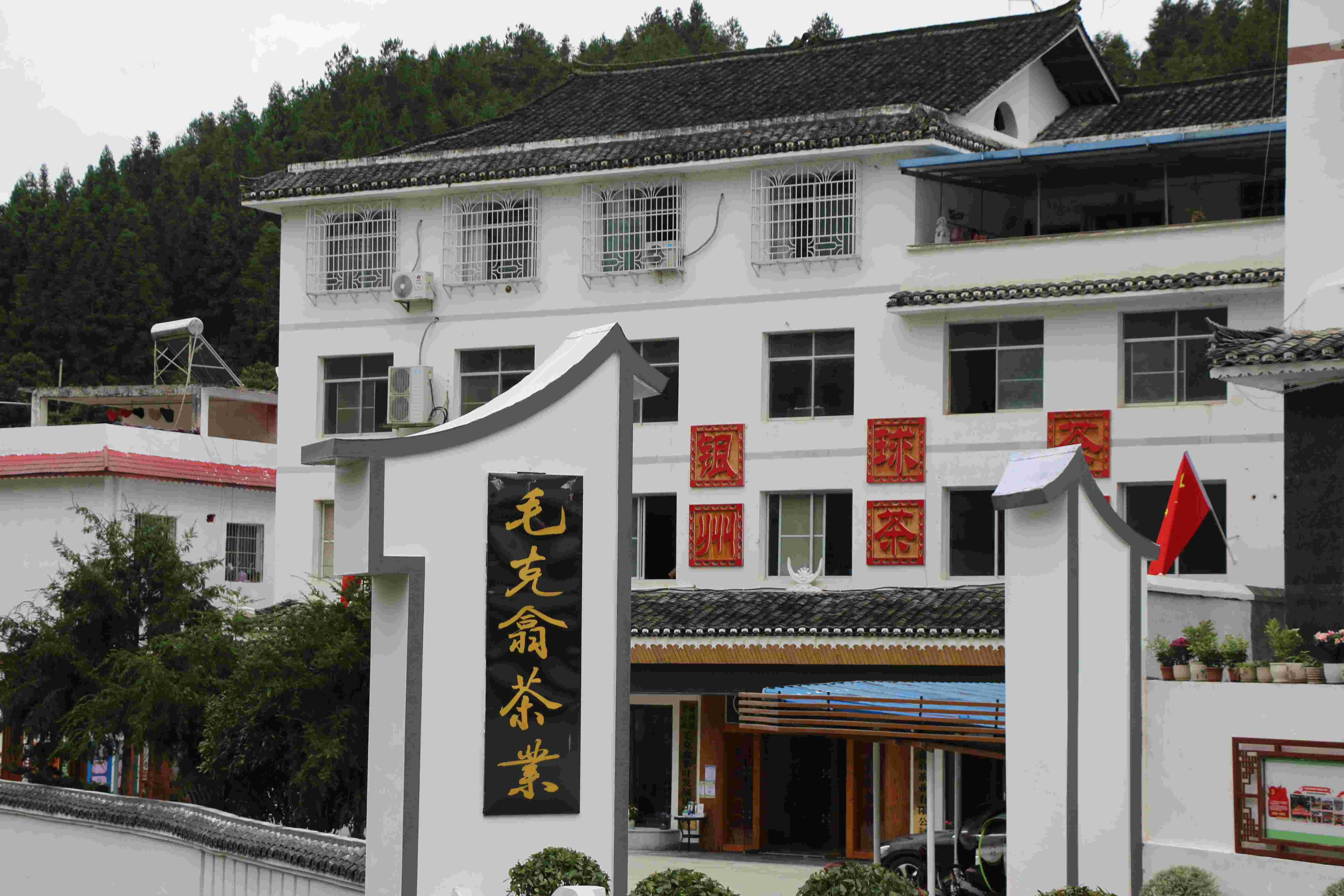 Guizhou Leishan Maokexie Tea Co., Ltd. – green tea 1