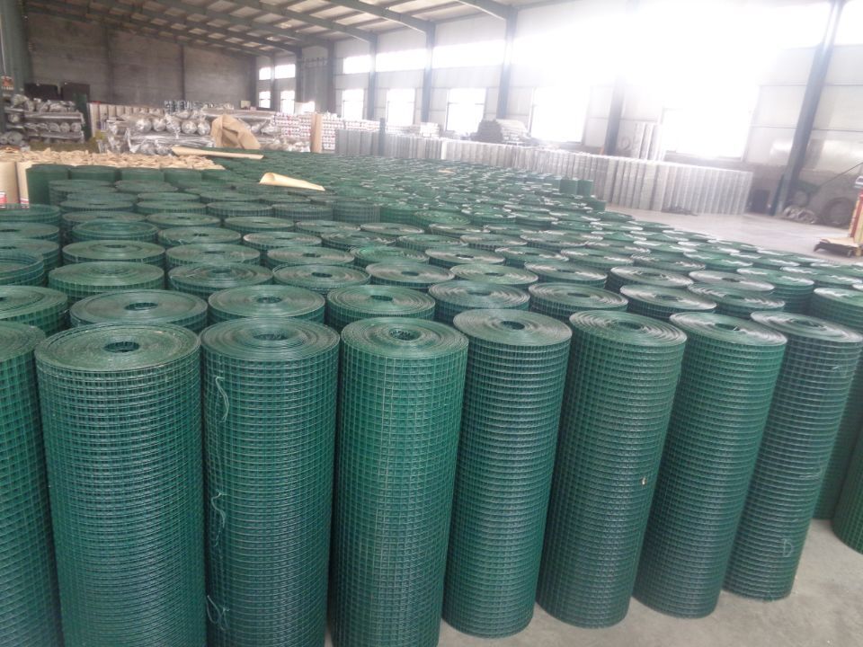 Galvanized Welded Wire Mesh
