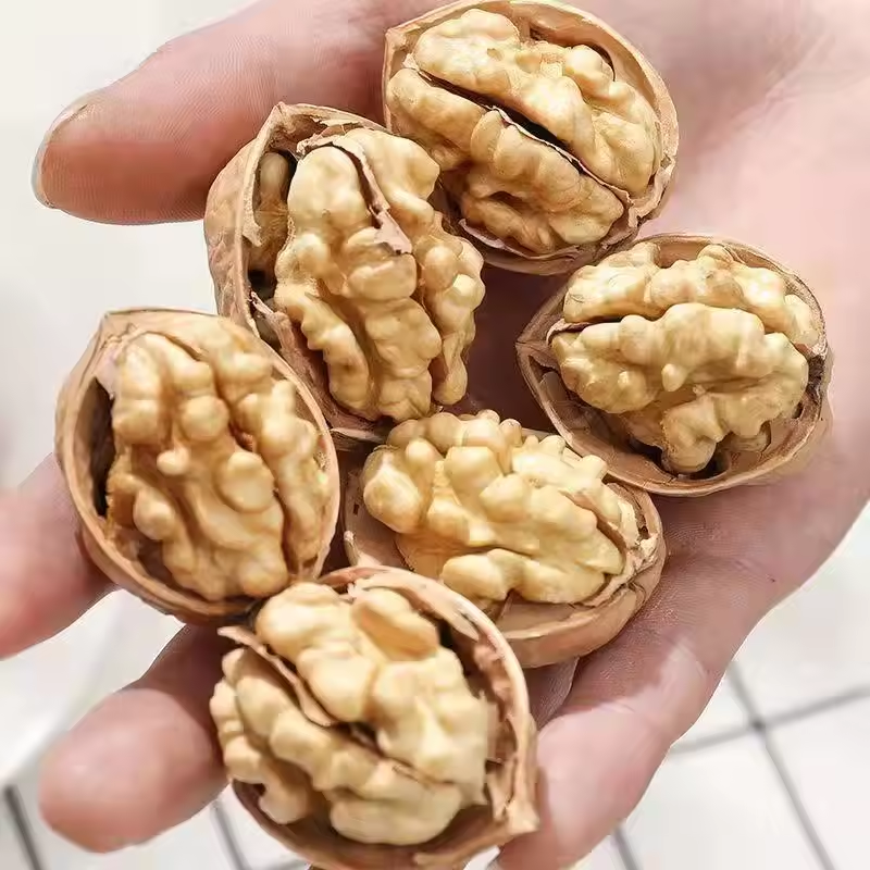 Gansu Qianli Silk Road International Trade Co., Ltd – raqueta de tenis 2