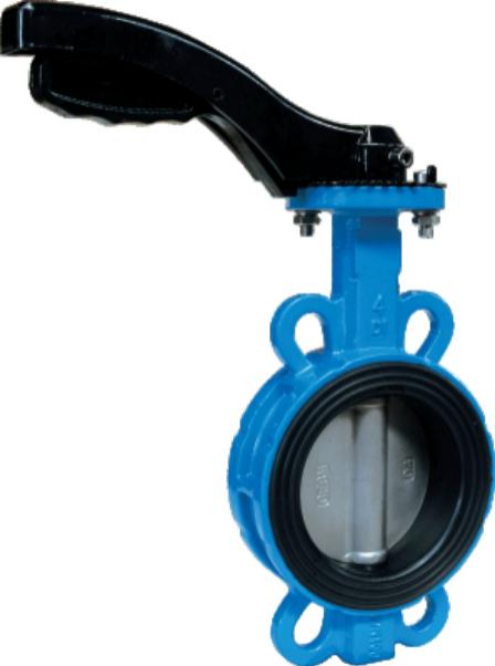 Wafer butterfly valve soft back