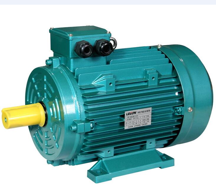 MS series Three-phase Asynchronous Aluminium Motor