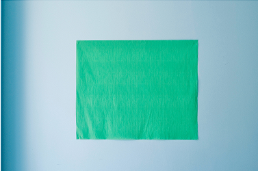 Green Peper Table Cover