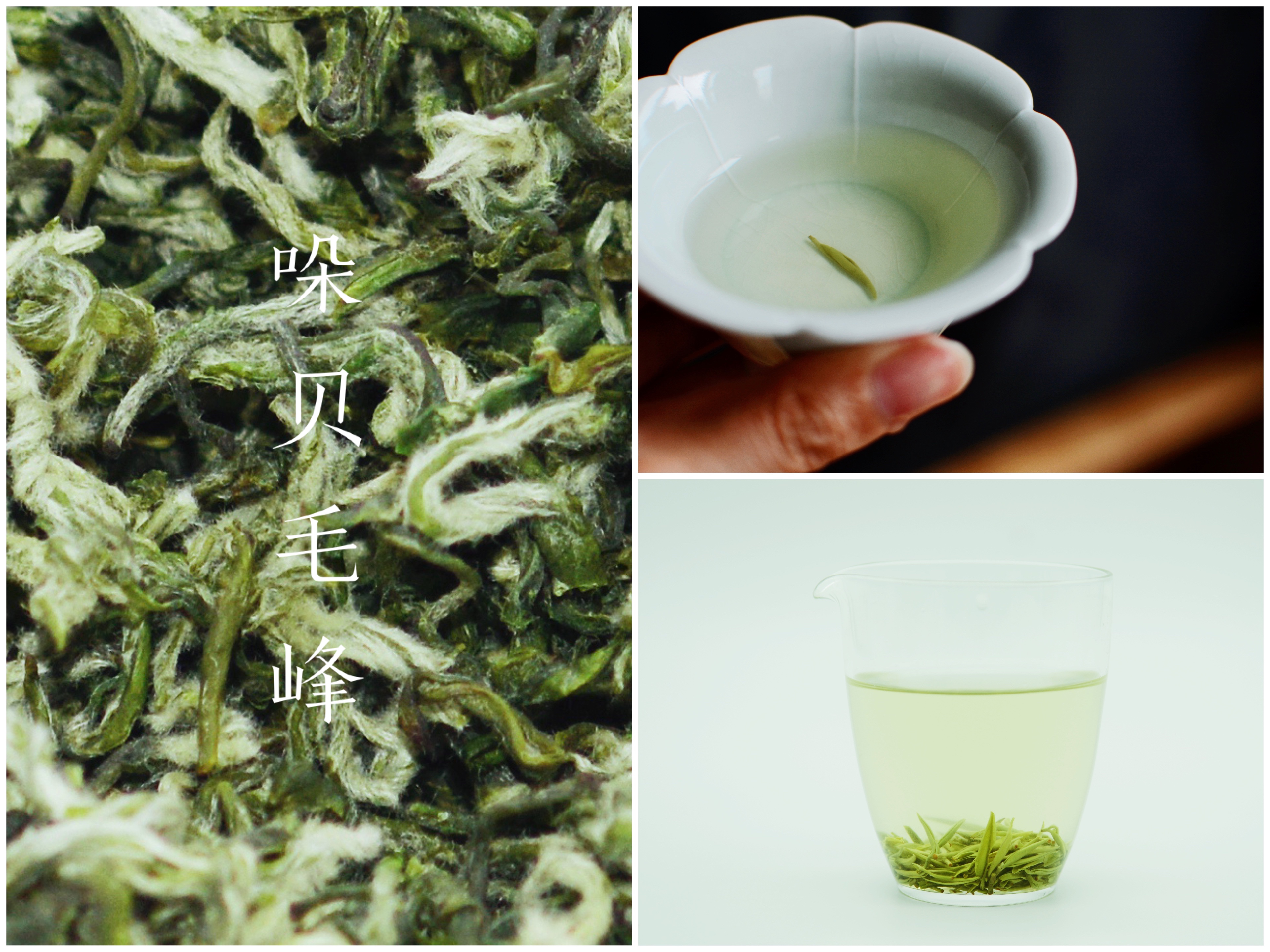 Guizhou Dobei Ancient Tea Deveopment Co.,Ltd – colchoneta de yoga 4