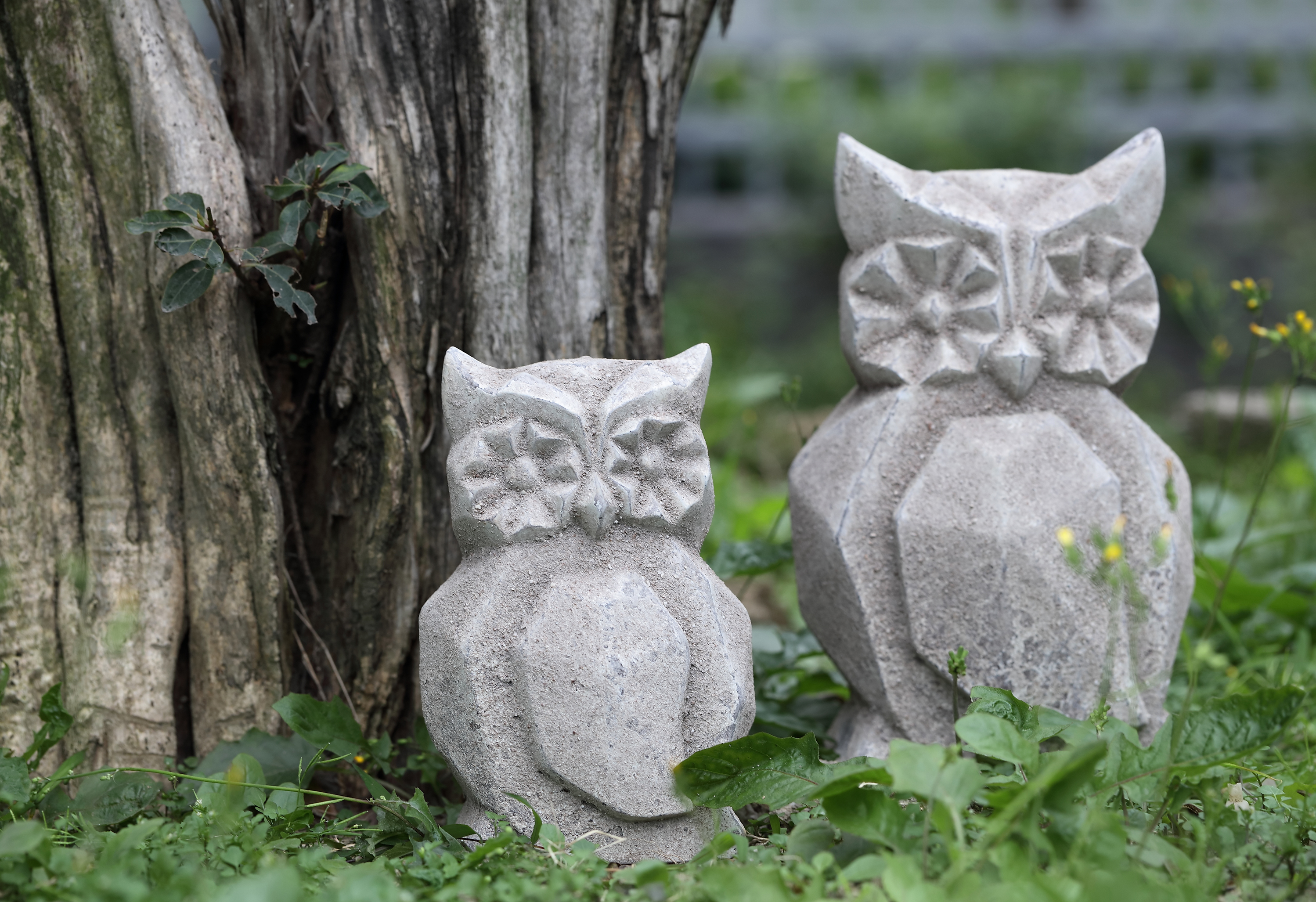 CHAOZHOU FENGXI WEIDAGAO CERAMICS MANUFACTORY FTY – portarretrato 3