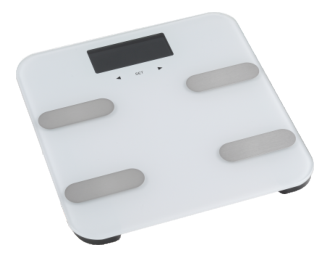 Body scale