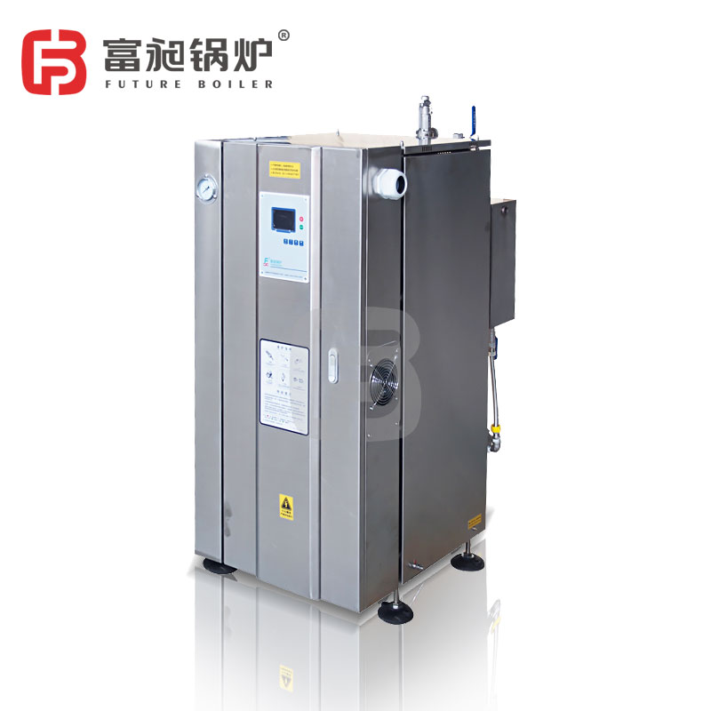 Future Boiler Vertical Electric Steam Boiler