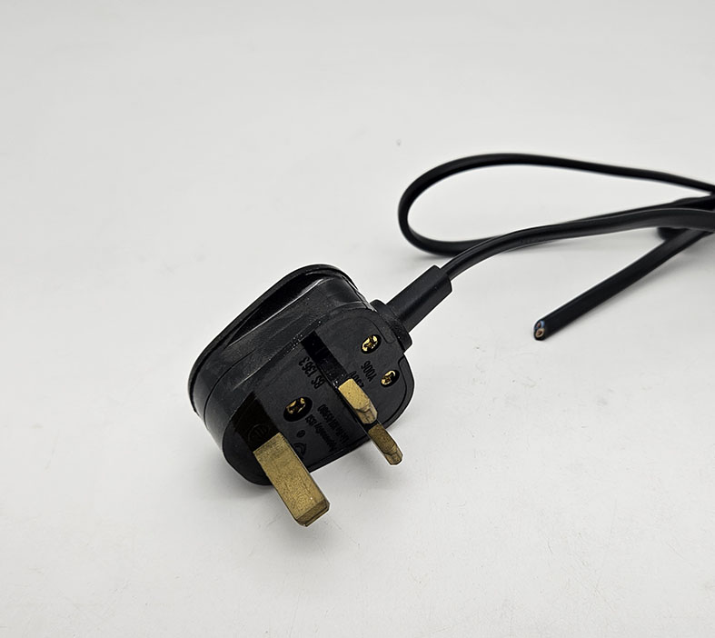 Plug and power cord