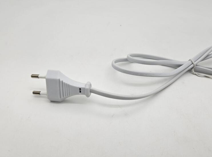 Plug and power cord