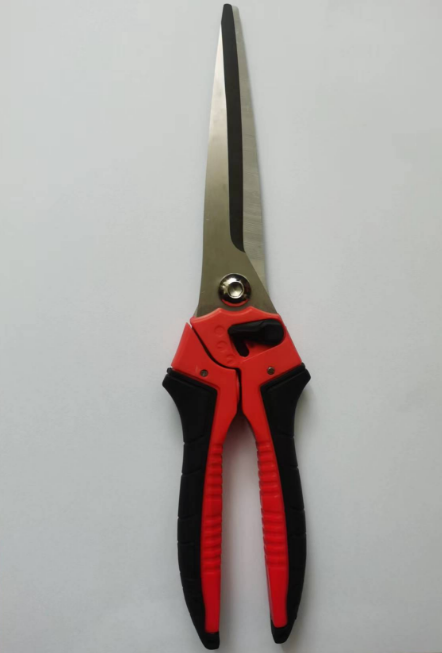 multifunctional scissors