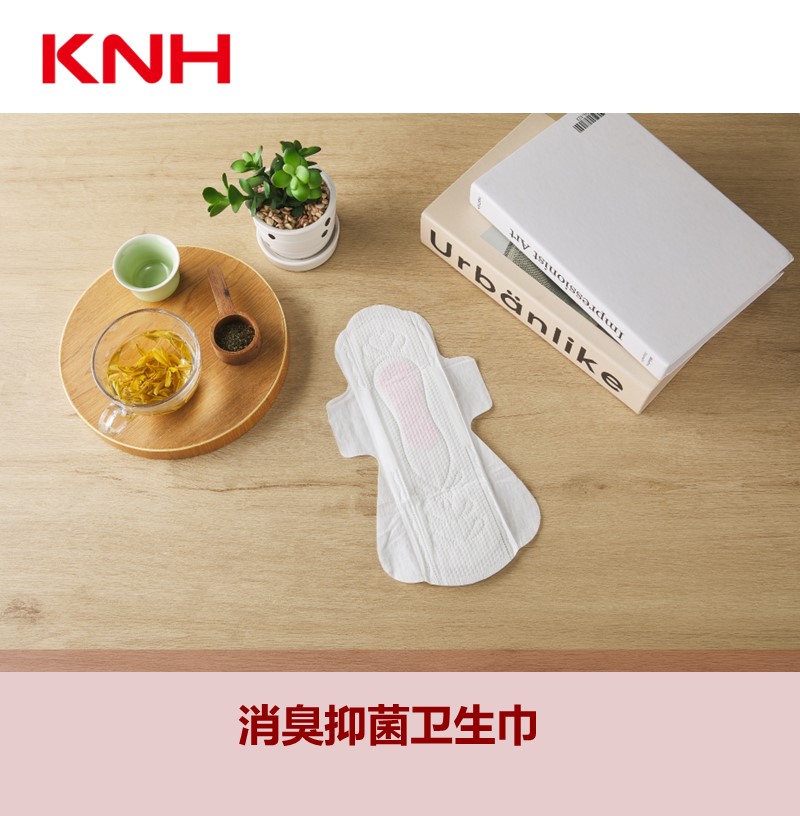 KNH (Yangzhou) Co., Ltd. – Sanitary pad 3
