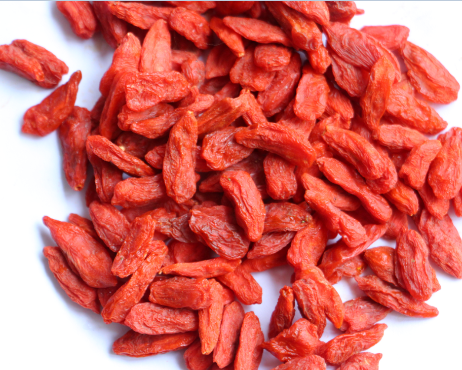 Ningxia Zhengyuan Wuzhong Food Co., Ltd. – Mushrooms 1