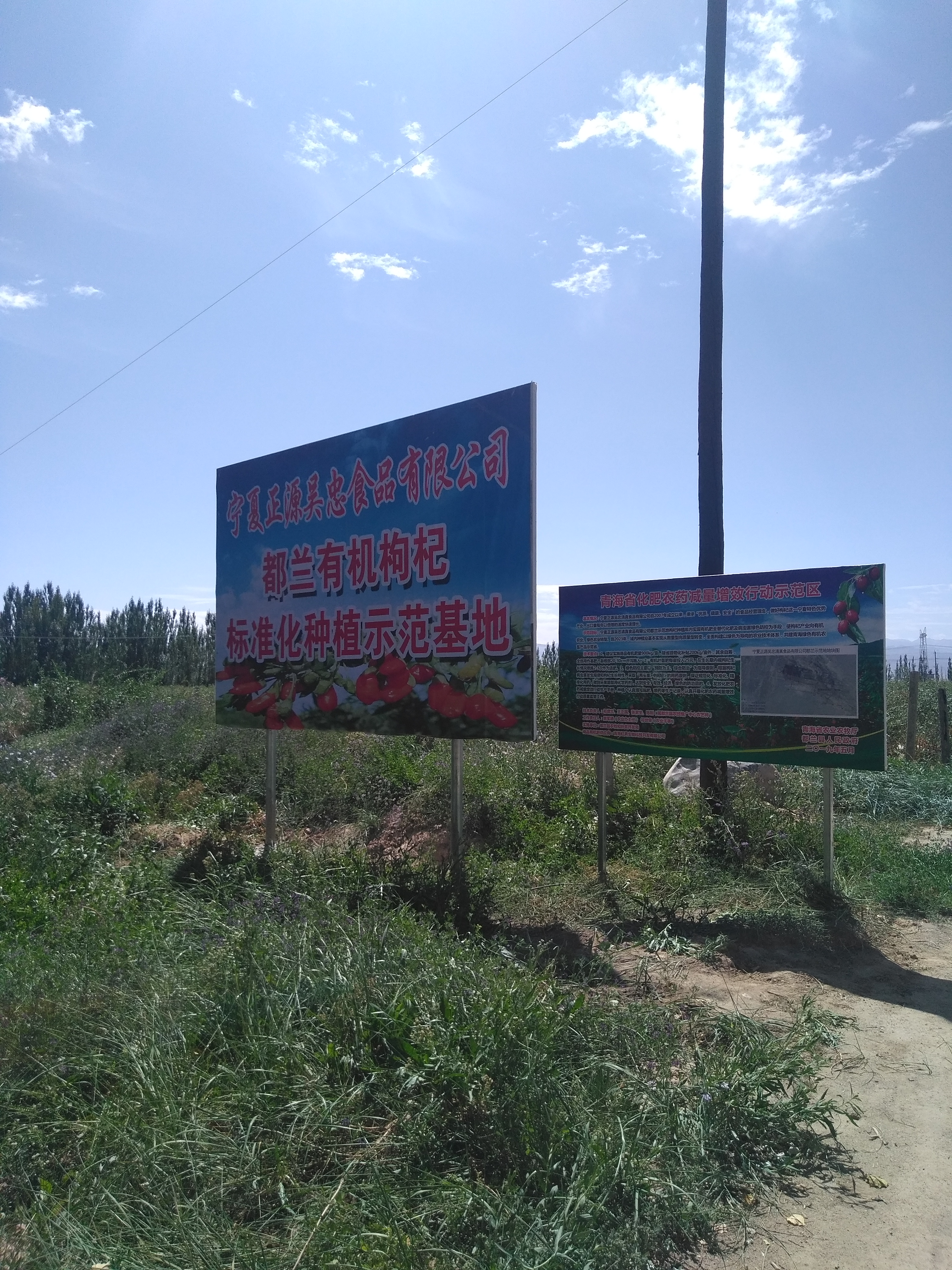 Ningxia Zhengyuan Wuzhong Food Co., Ltd. – mung beans 3