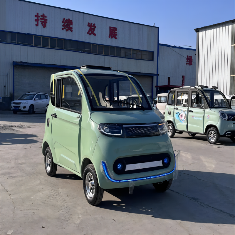 electric vehicle