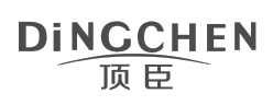Xinjiang Dingchen Technology CoLTD