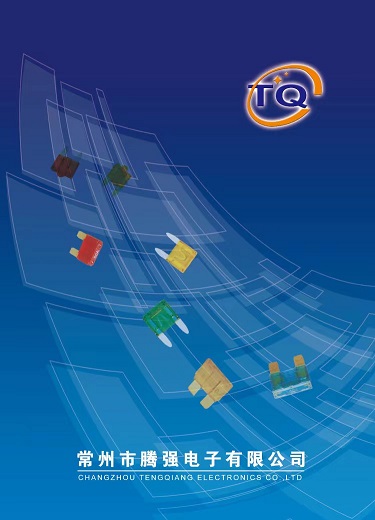 Changzhou Tengqiang Electronics Co., Ltd. – Other car accessories 1
