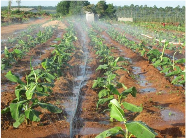 Shandong Runhua Water-Saving Irrigation Technology Co.,Ltd. – piezas mecanizadas 3