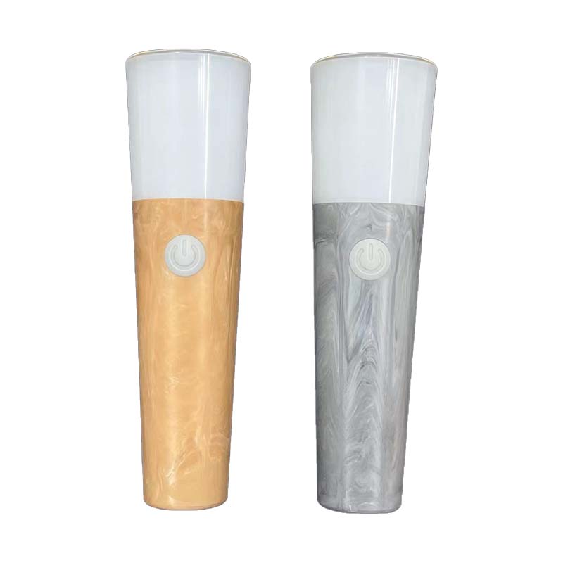 Electronic Torchlight
