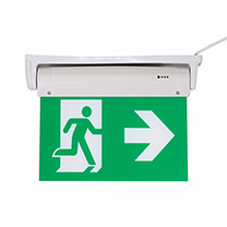 AUEXLED-06 Led Emergency Light Bulkhead Export Rechargeable IP65 Waterproof