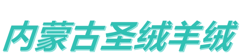 INNER MONGOLIA HOLY CASHMERE TECHNOLOGY CO.,LTD
