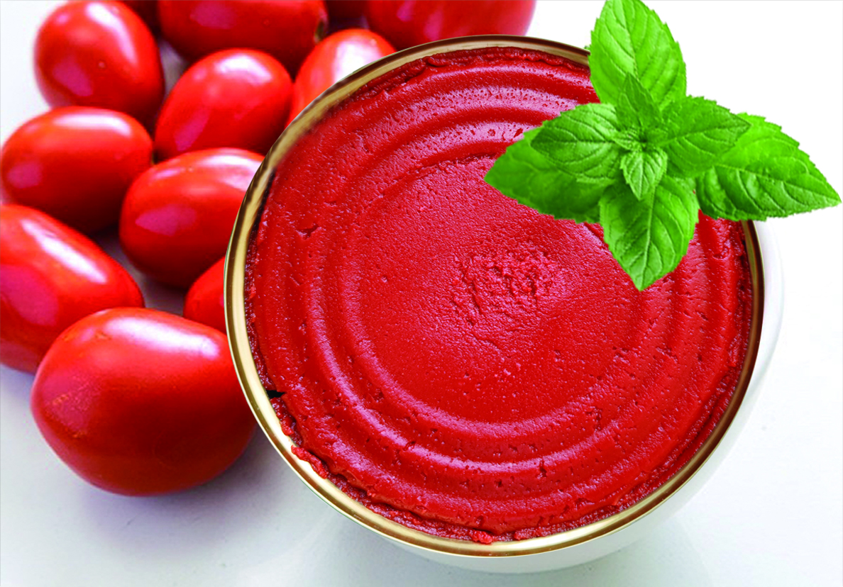 TIANJIN WAYSUN FOODSTUFF CO., LTD – raqueta de tenis 2