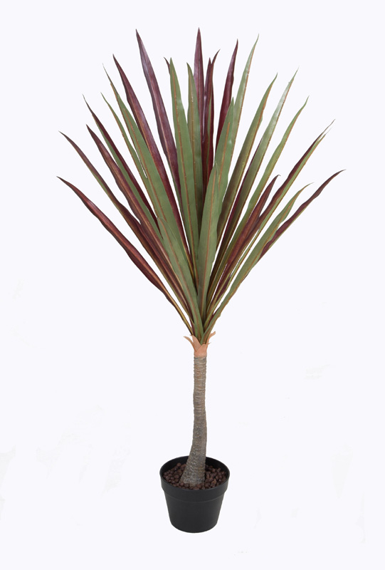 red banana leaves