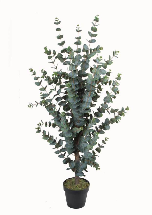 120CM2#Eucalyptus (green)