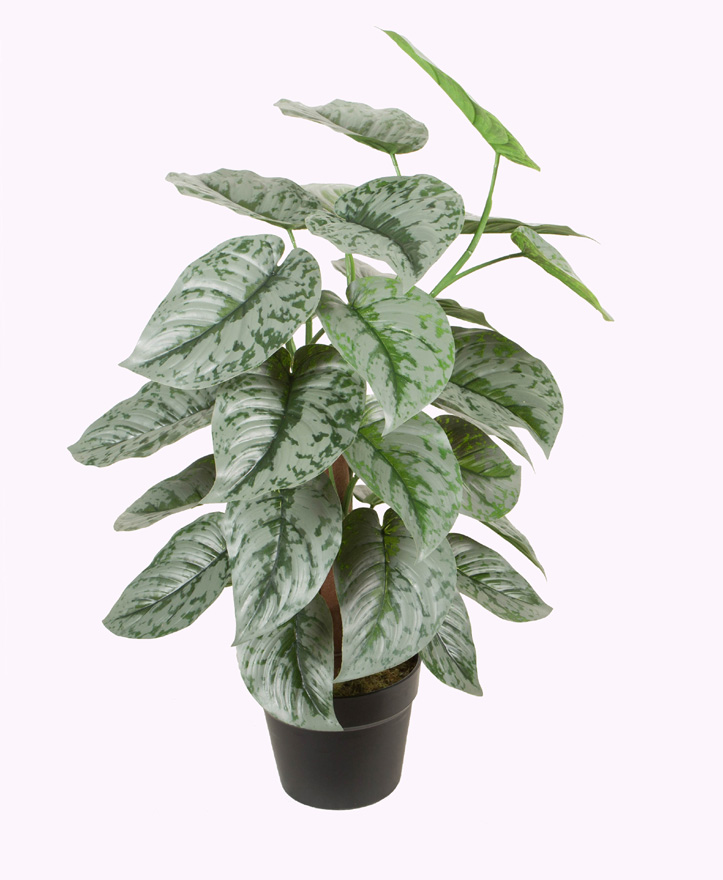 60CM Coconut tube silver patchouli