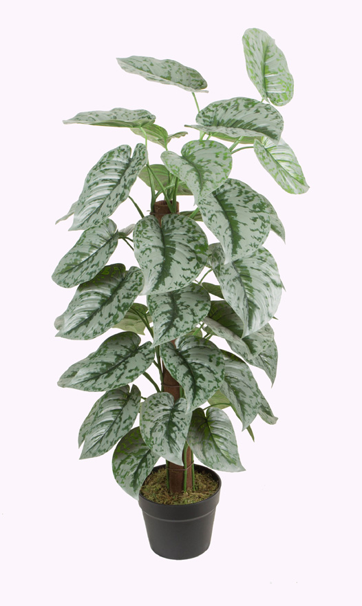 90CM Coconut tube silver patchouli
