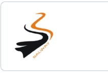 Shenzhen Saiaowei Industrial Co., Ltd.