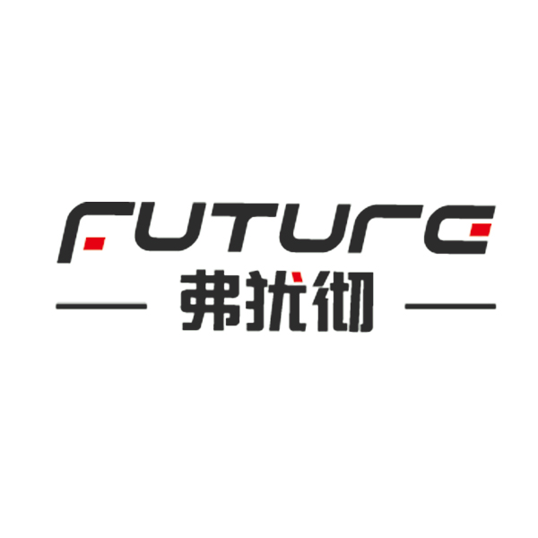 Shenzhen Flyouche Electronics Co., Ltd.