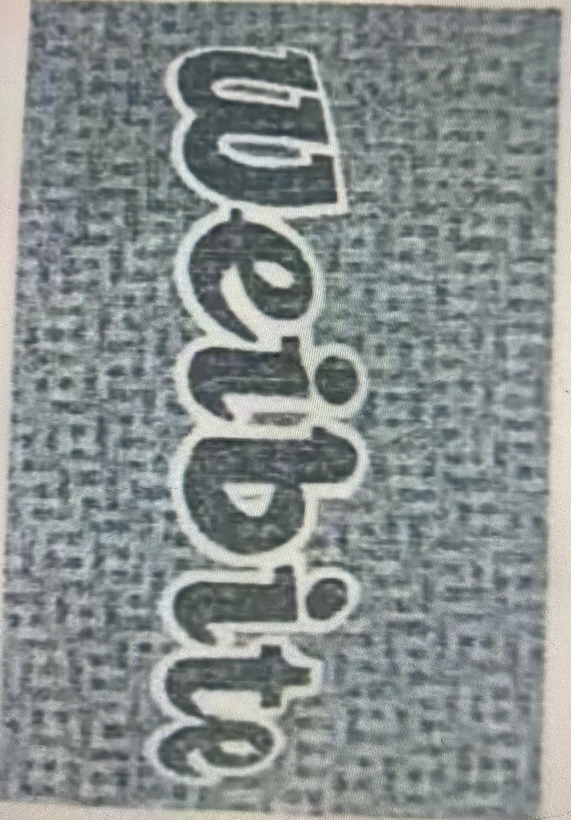 LUFENG WEIBITE SPORTING GOODS CO.,LTD