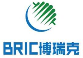 Anhui Bric Technology Co Ltd